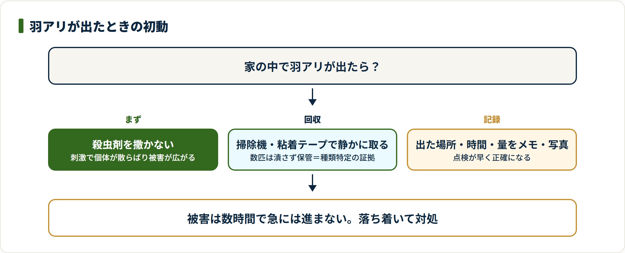 羽アリが出たときの殺虫剤NG・回収保管・記録の初動を示す図。
