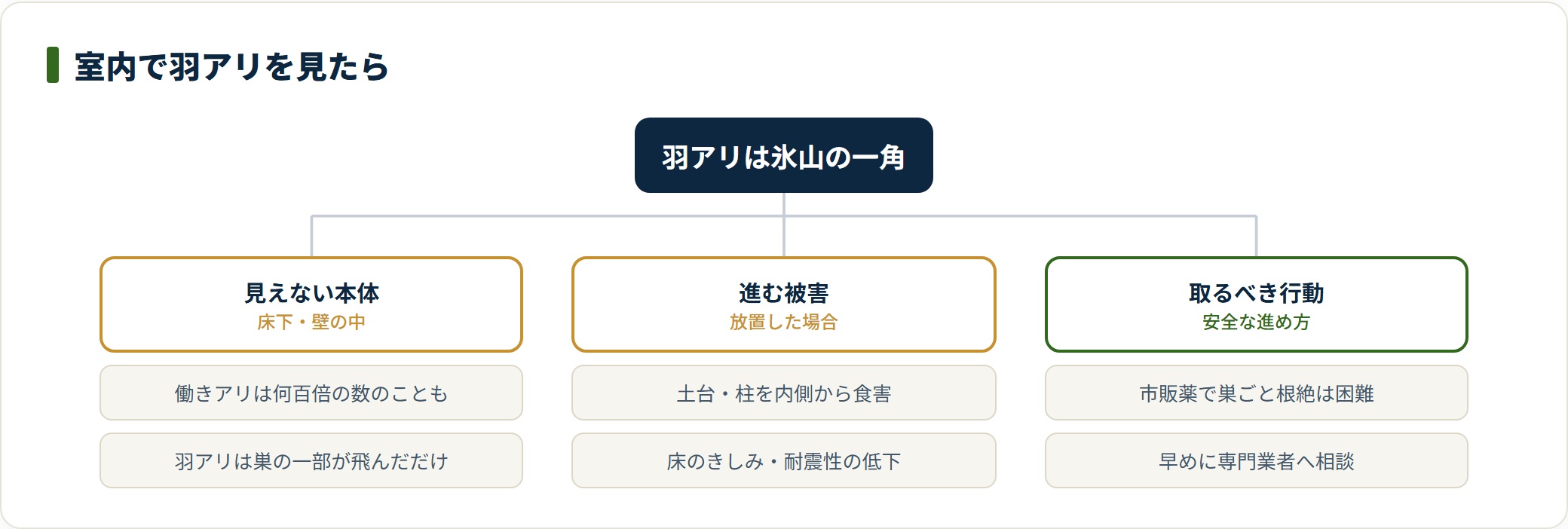 室内の羽アリが示す本体の存在と放置時の被害、取るべき行動を整理したツリー図。
